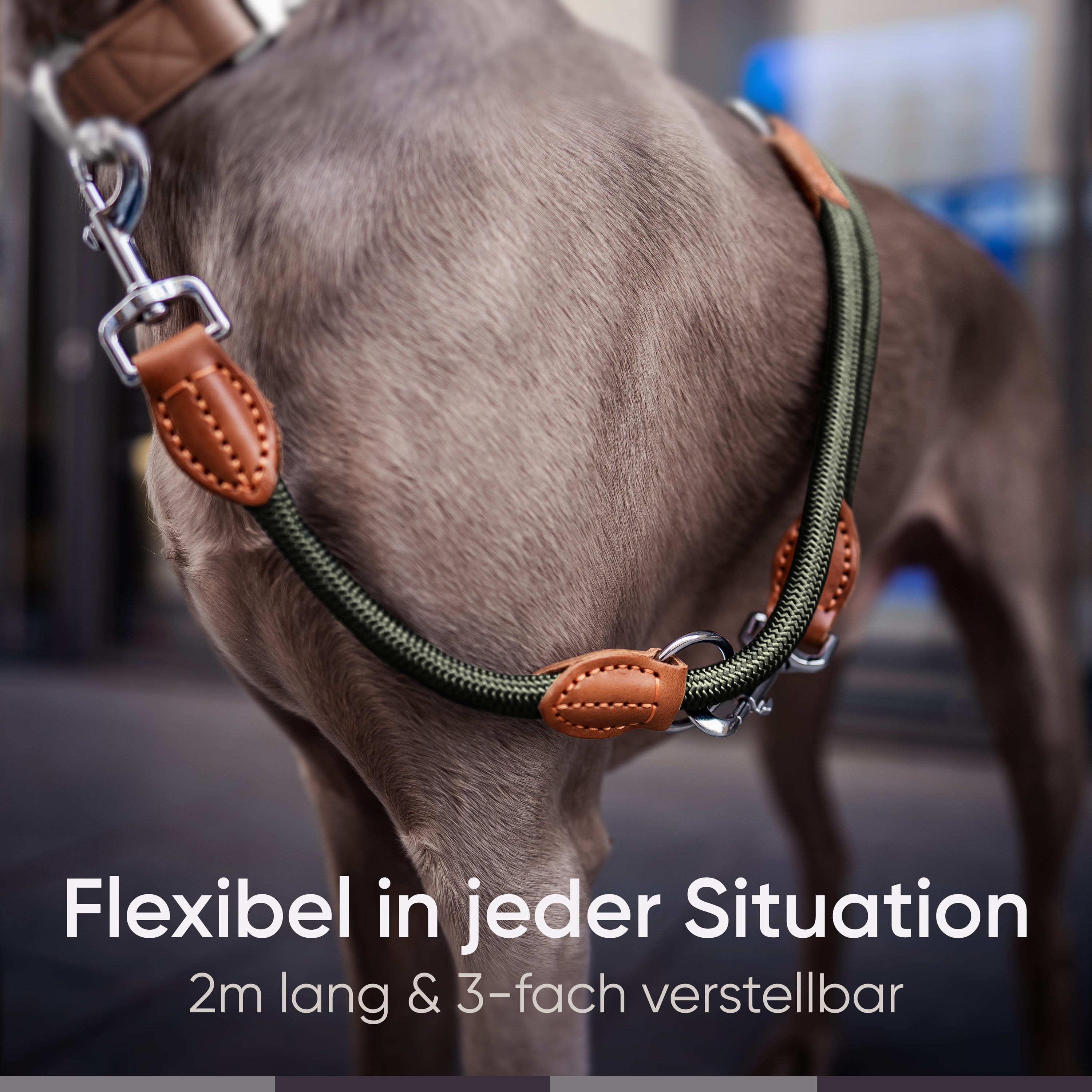 Freudentier Hundeleinen Freudentier runde Hundeleine 2m, 3-fach verstellbar