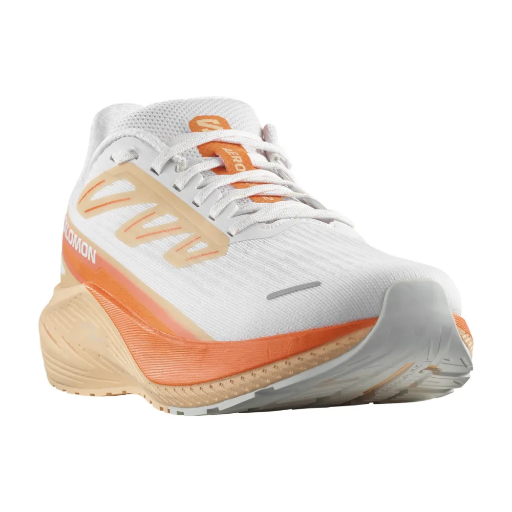 Salomon AERO BLAZE 2 L47426500 / bunt