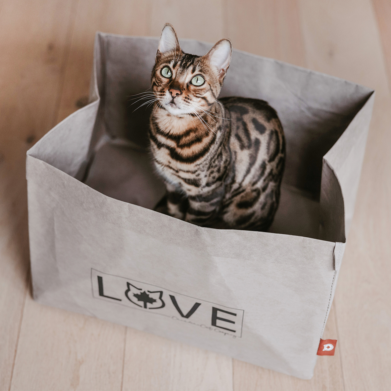 Canadian Cat Company Katzenbetten & Katzensofas Canadian Cat Company Katzenbett Winnipeg