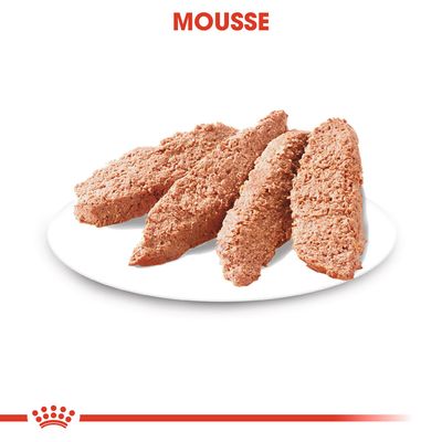 Royal Canin Exigent Mousse