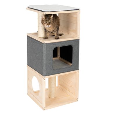 Katzenhaus Cubist