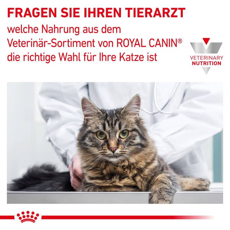 Royal Canin Veterinary Feline Mobility zu TOP-Preisen | bitiba %