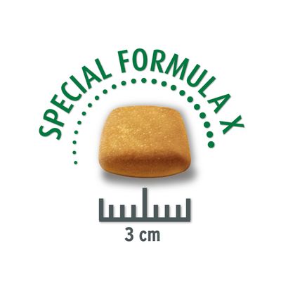 4 x 1 kg / 1.5 kg Concept for Life zum Sonderpreis!