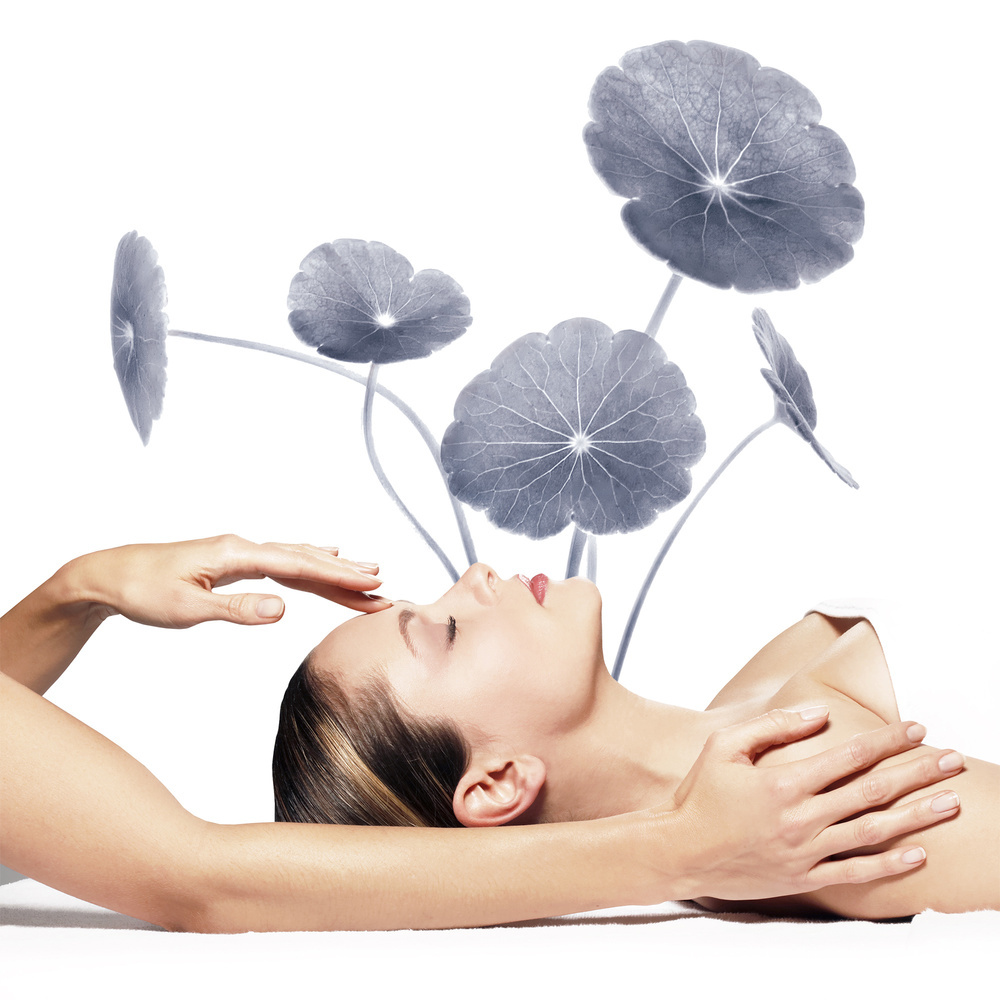 DR Renaud PRESCRIPTION VEGETALE - EXPERT APAISANTPRO-JEUNESSE Soin Visage Peaux Sensibles DR Renaud 1h