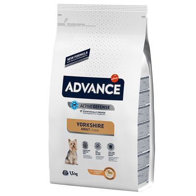 Advance Yorkshire Terrier Adult