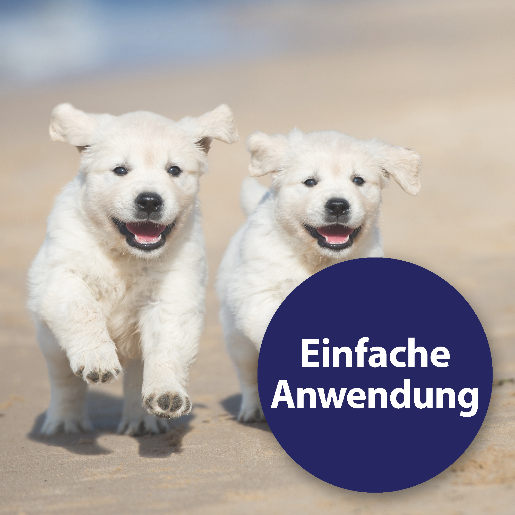 Canosept Augen- & Ohrenpflege Canosept Ohrpflege Finger-Pads für Hunde 50 Stück