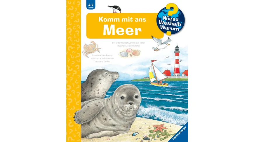 Wieso? Weshalb? Warum? (17) Komm mit ans Meer