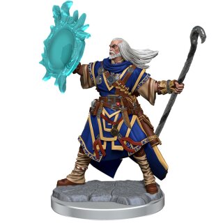 Pathfinder Legendary Cuts: Male Human Wizard (2)