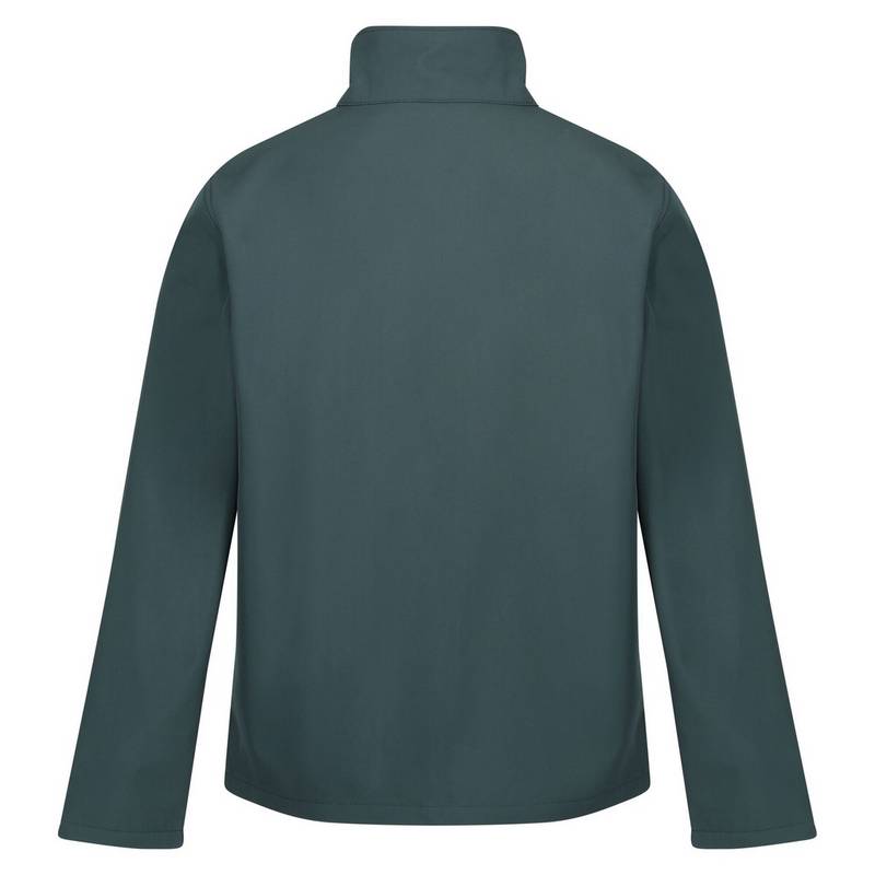 Regatta Cera V Softshelljacke Herren