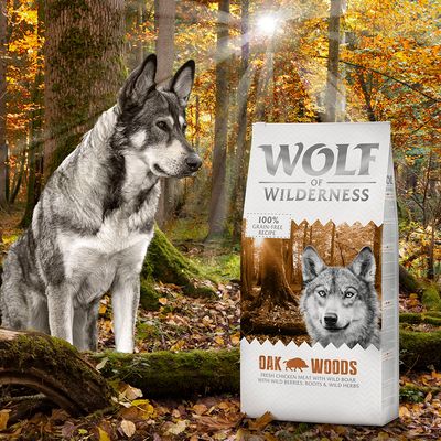 Wolf of Wilderness Adult 