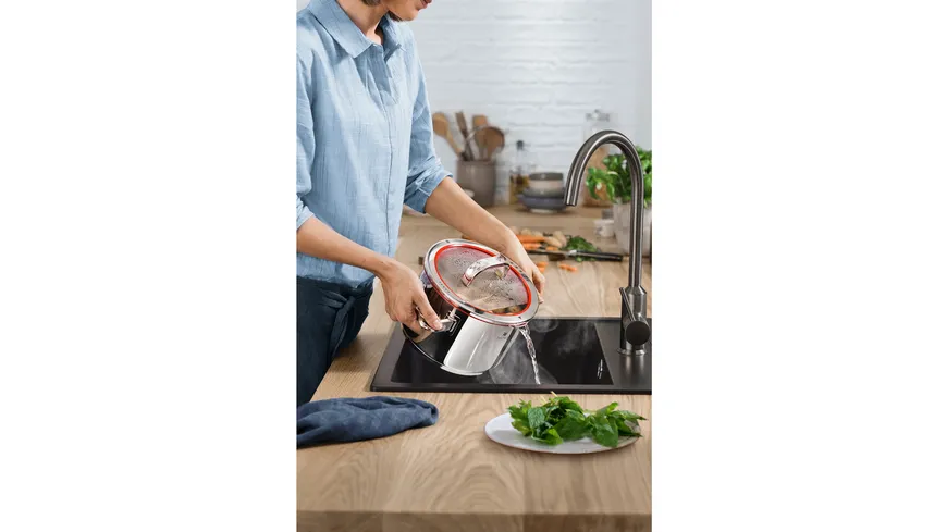 WMF Fleischtopf Function 4 Ø 20cm