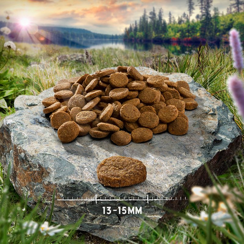 Probierpaket Purizon Single Meat 3 x 1 kg