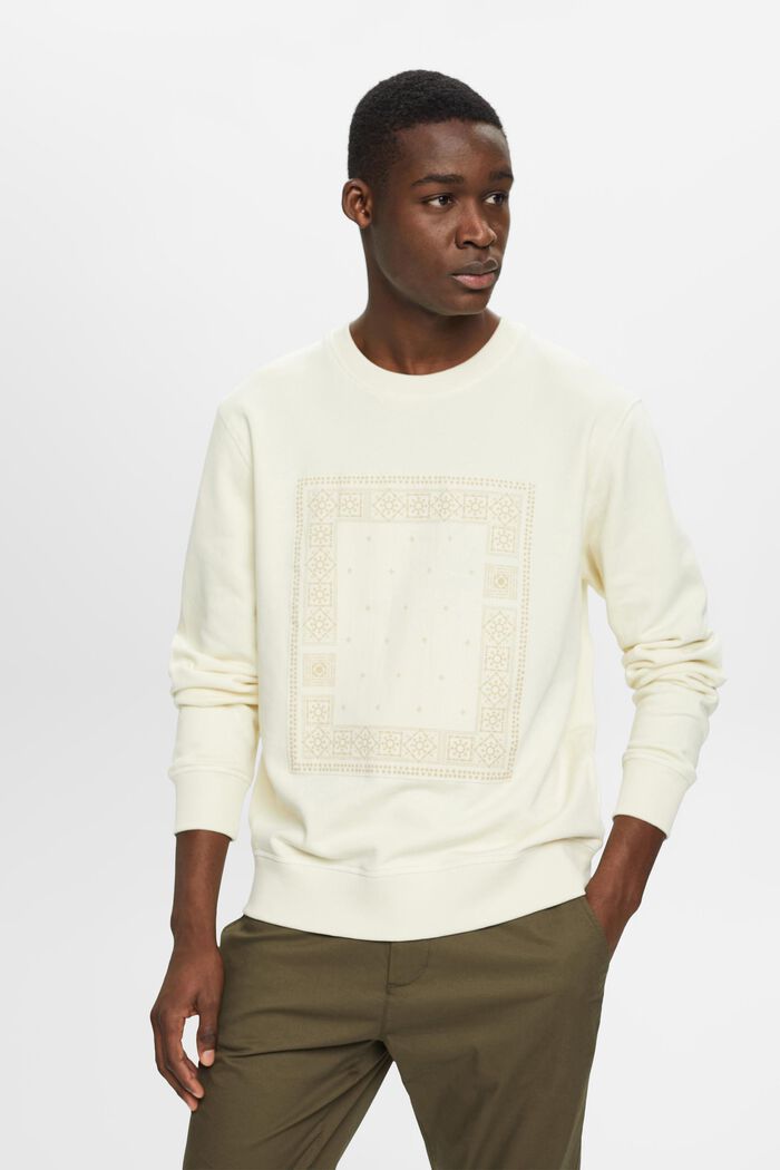 Sweatshirt mit Frontprint