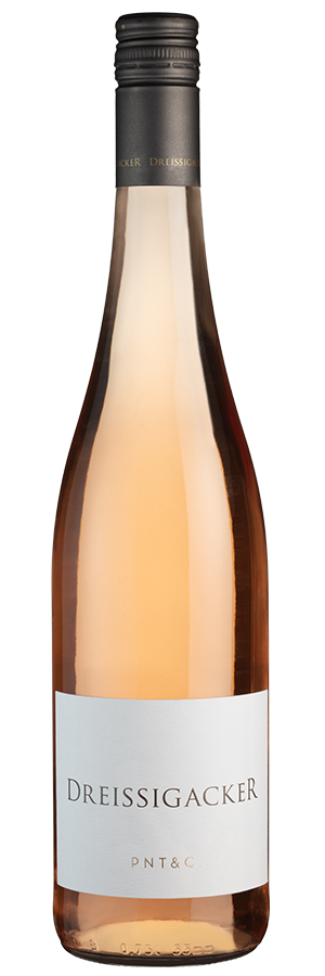 PNT & C. Rosé trocken (Bio) 2022