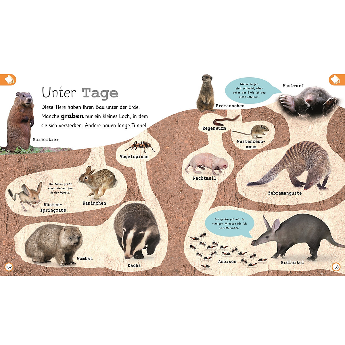Was weißt du über Tiere