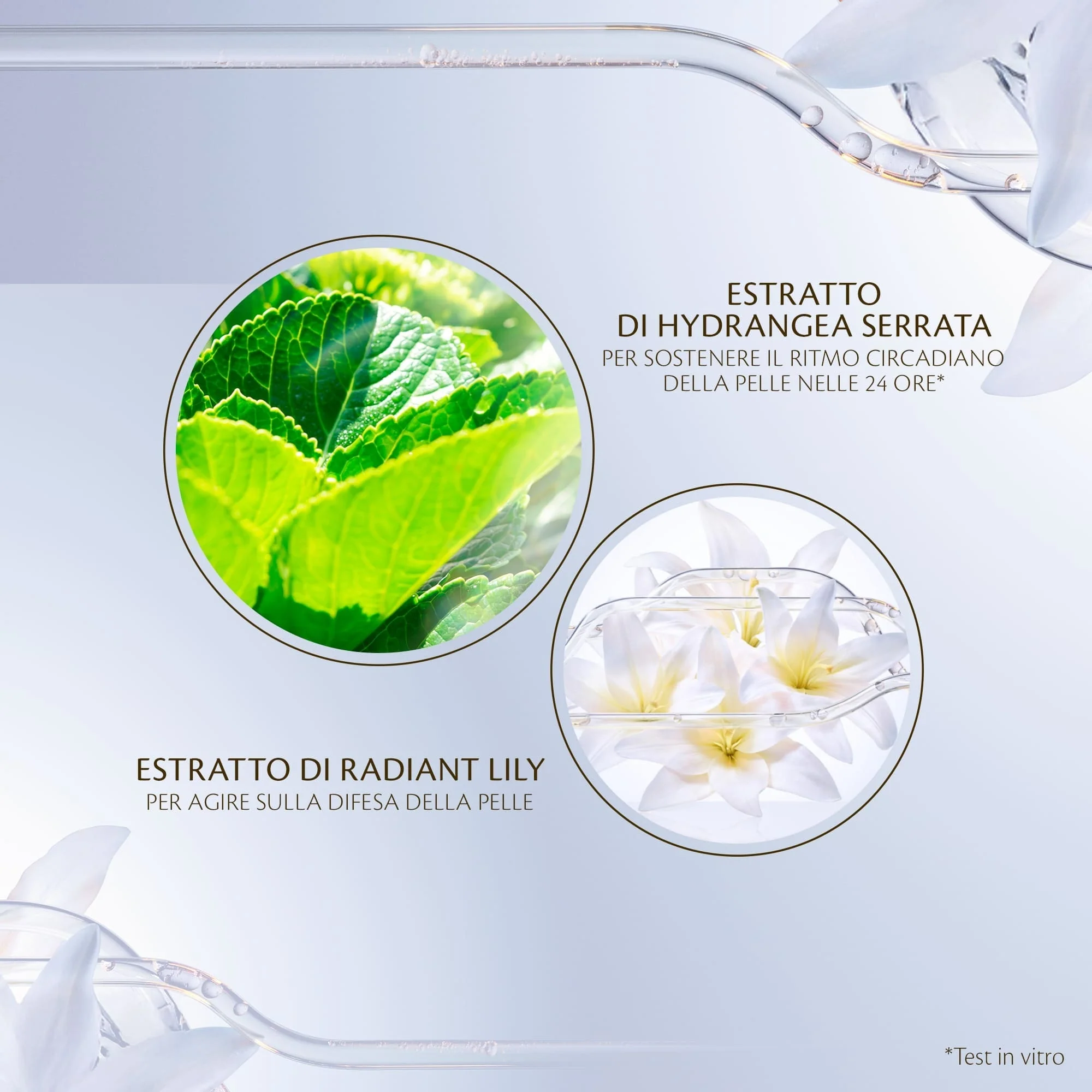 Key Radiance Care Emulsão Protetora Diurna - Fluido Facial Hidratante, Fluido Facial First Signs