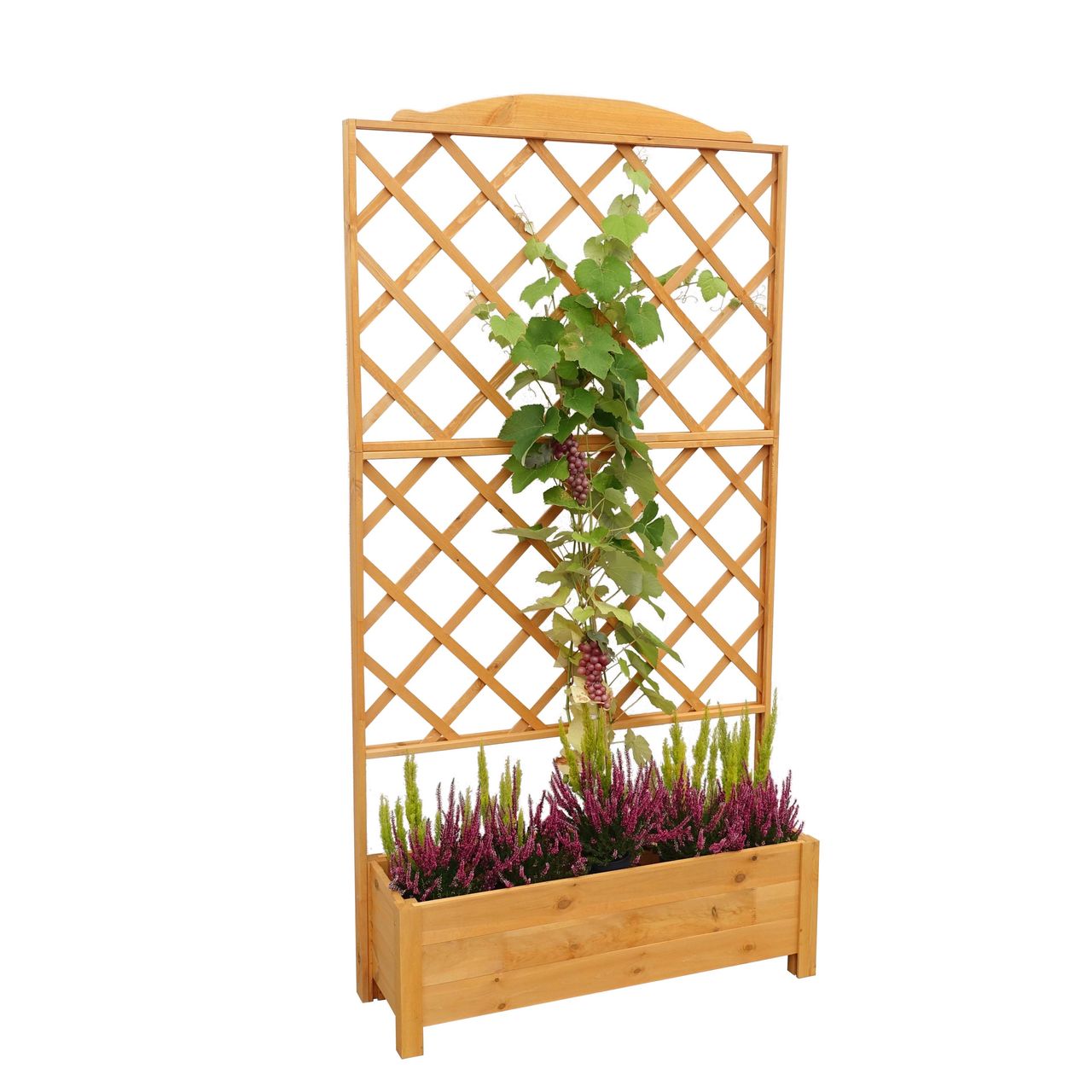 PROMEX Promadino Rankkasten Botanica 110x210 cm