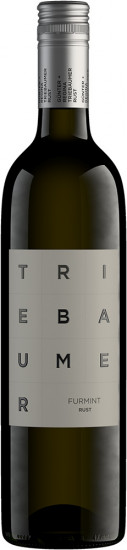 2022 Furmint Rust trocken - Weingut Triebaumer