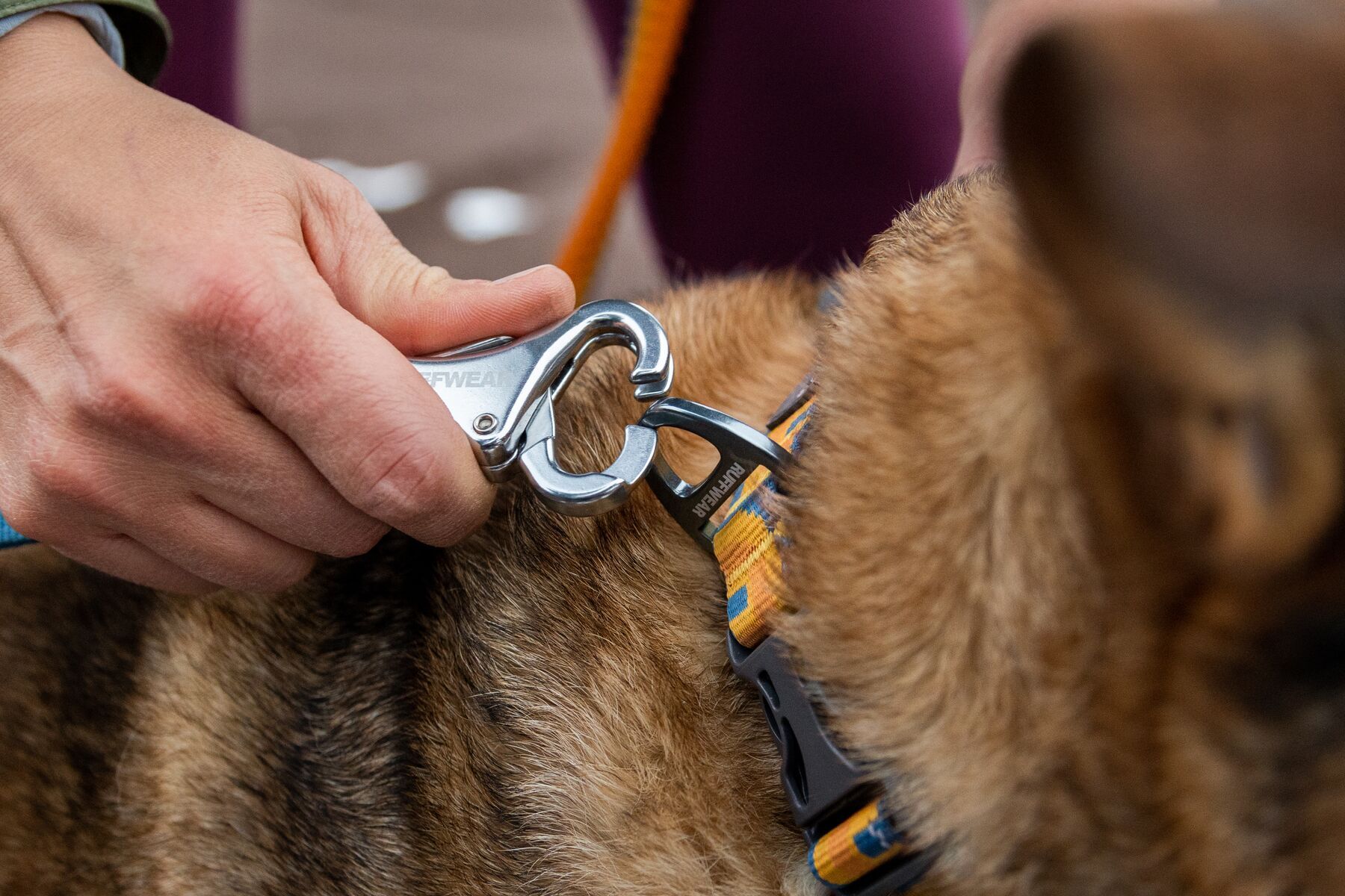 Ruffwear Hundehalsbänder Ruffwear Hundehalsband Crag™ blau/ türkis L