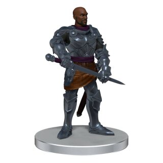 D&D Voices of the Realms Miniaturen: Band of Heroes (pre-painted)