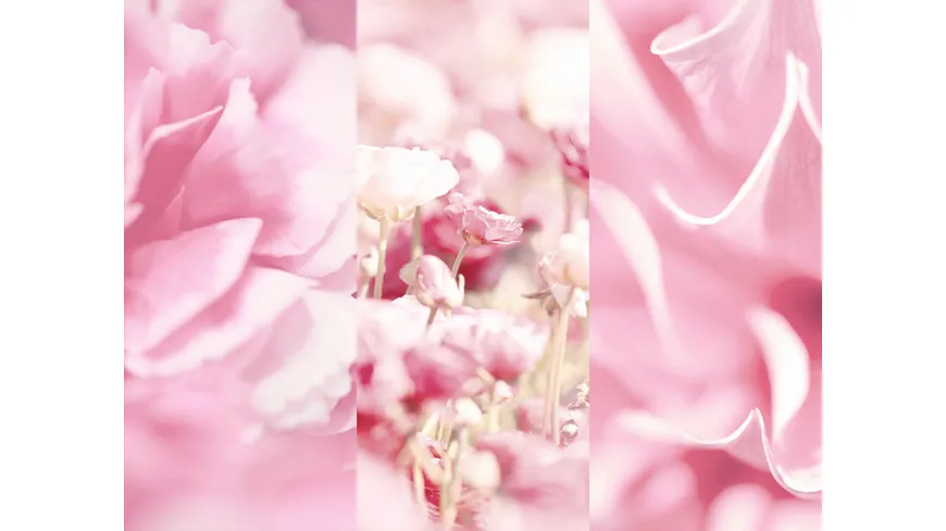 8X4 Deospray No.3 Velvet Blossom 150 ml