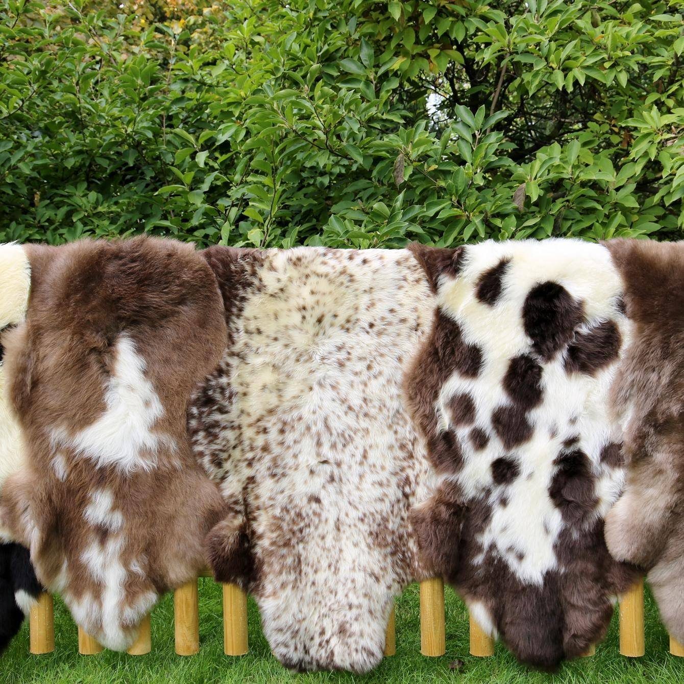Fellteppich Englisch gescheckt Schaffell Läufer Teppich, Hollert, Tierform