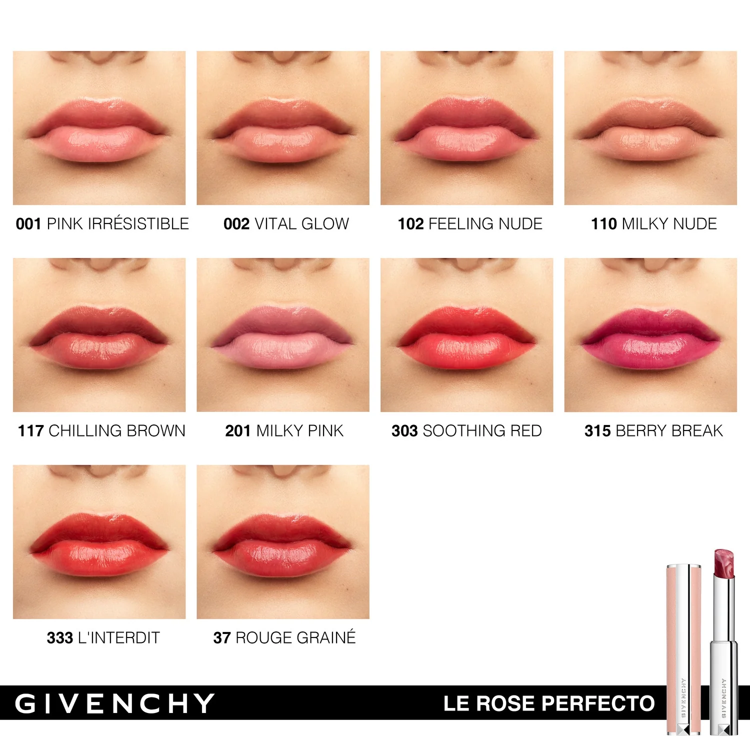 Le Rose Perfecto Lips - Barra de labios