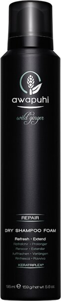 Paul Mitchell Awapuhi Wild Ginger Dry Shampoo Foam Trockenshampoo