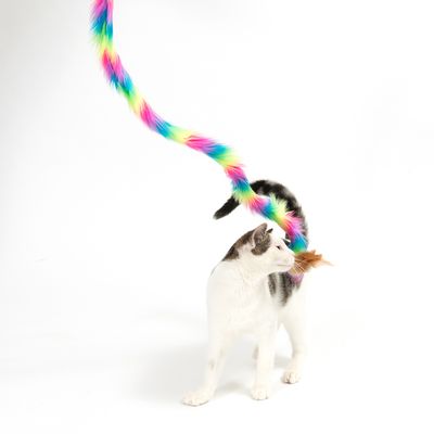 Katzenangel Unicorn