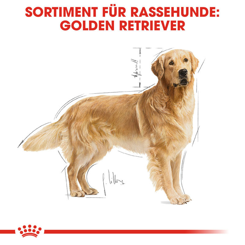 ROYAL CANIN Hundetrockenfutter ROYAL CANIN Golden Retriever Adult 12 kg