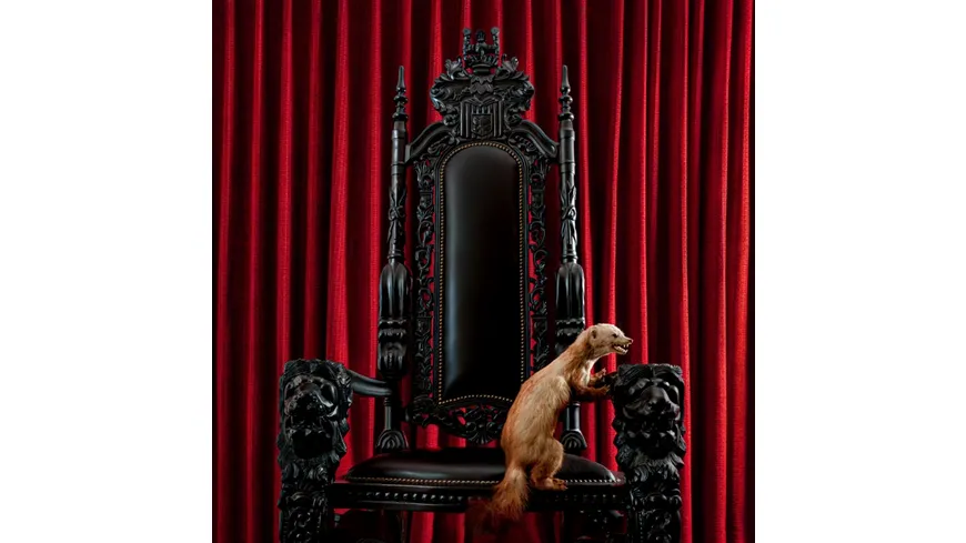 Marten (Hardcover Book)
