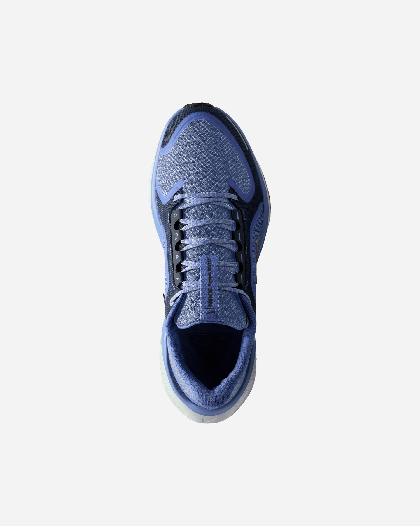 Scarpe Running Nike Pegasus 41 Gore Tex W FQ1357-400