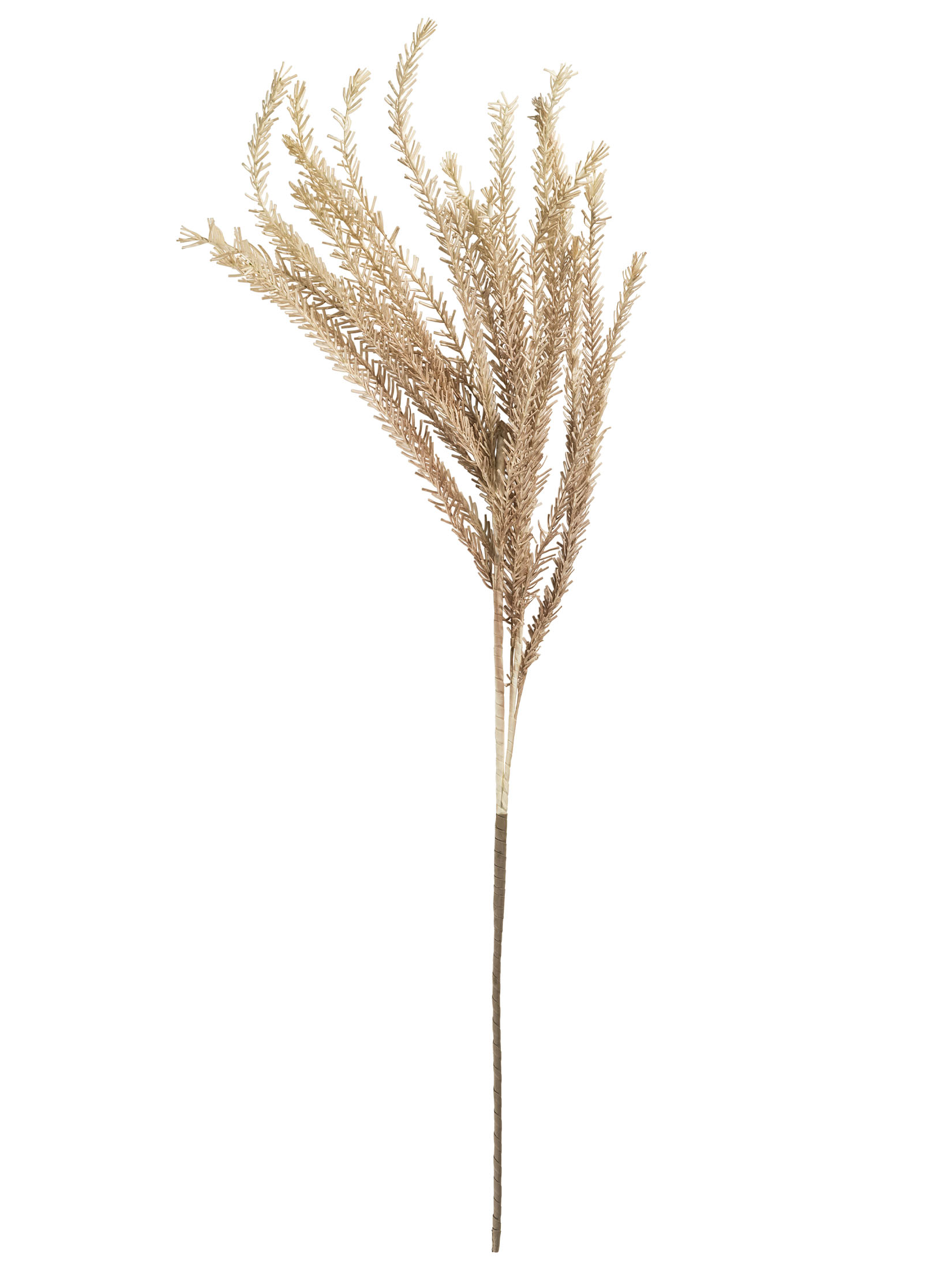 Klariola Kunstblume, Hellbraun
