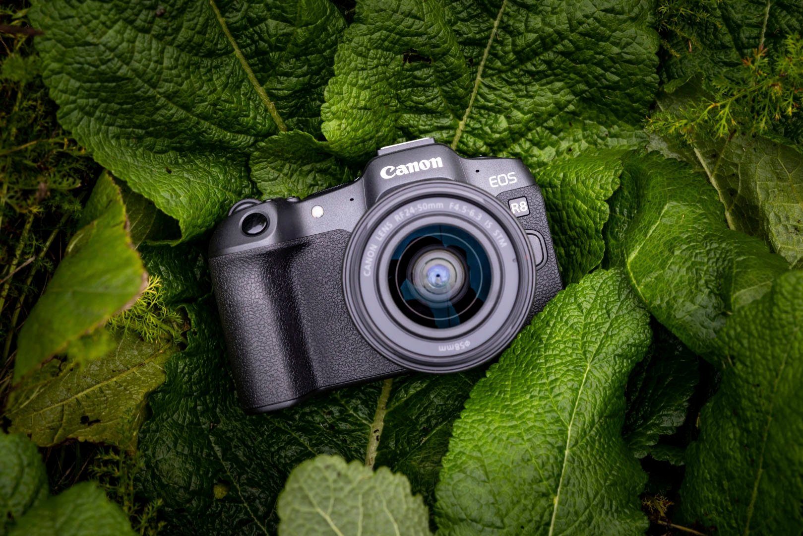 Canon EOS R8 Systemkamera (24,2 MP, Bluetooth, WLAN, verfügbar ab 17.04.23)