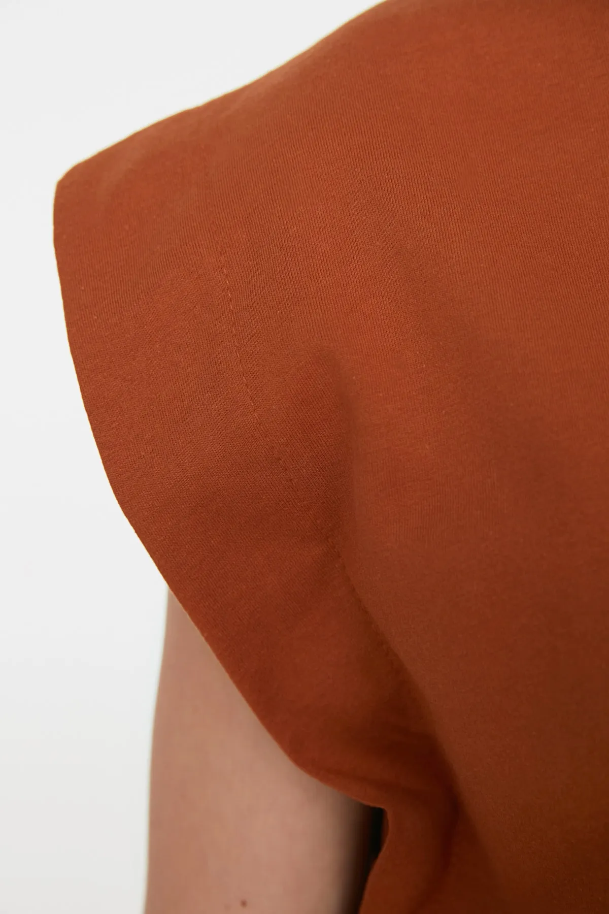 Trendyol Collection  Zimtfarbenes Basic-Strick-T-Shirt mit Rundhalsausschnitt aus 100 % Baumwollwatte TWOSS20TS0021