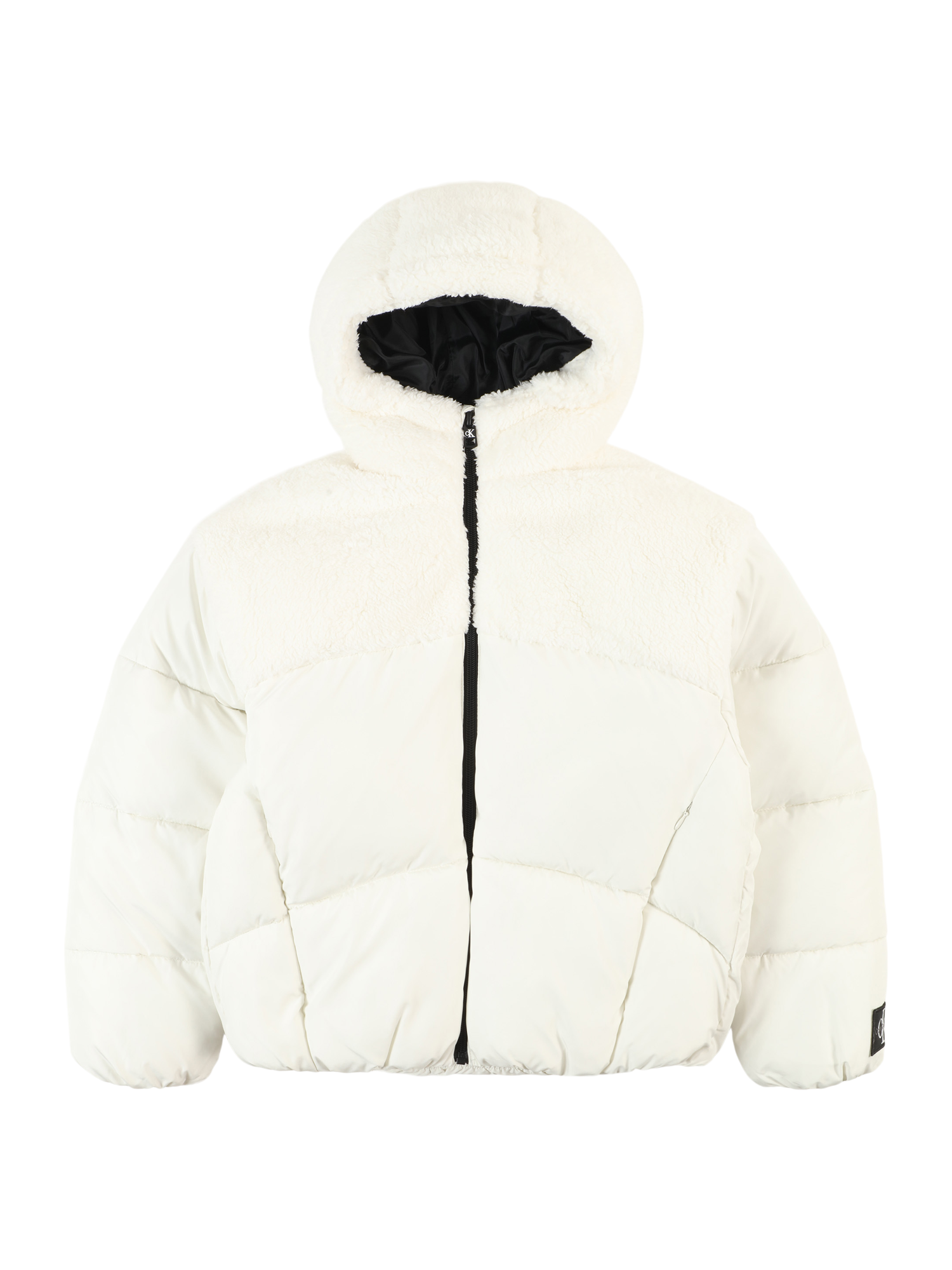 Winter Jacket