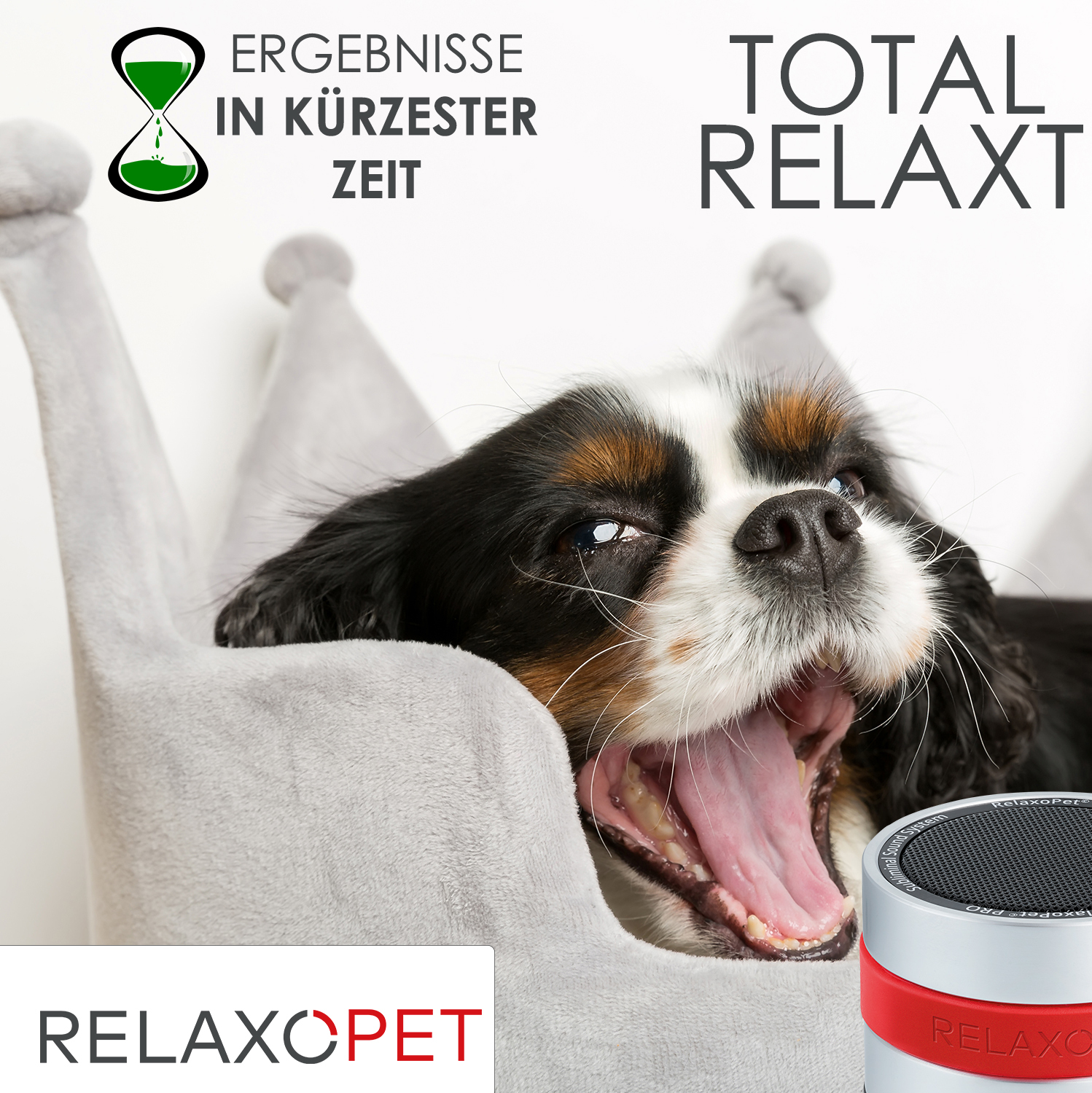 RelaxoPet Beruhigungsmittel RelaxoPet PRO Entspannungs-Trainer HUND
