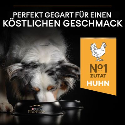 PURINA PRO PLAN Duo Délice Huhn & Reis