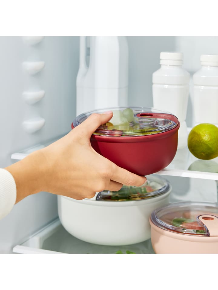 Rotho 2er-Set Lunchboxenset ELA in Rot & Rosa günstig kaufen onesize
