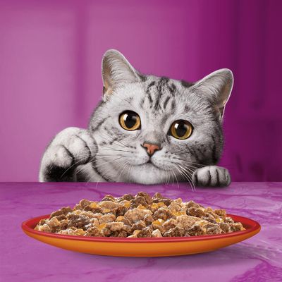 Jumbopack Whiskas Duo Portionsbeutel 144 x 85 g