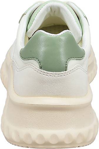 TT. BAGATT Sneaker Lecce