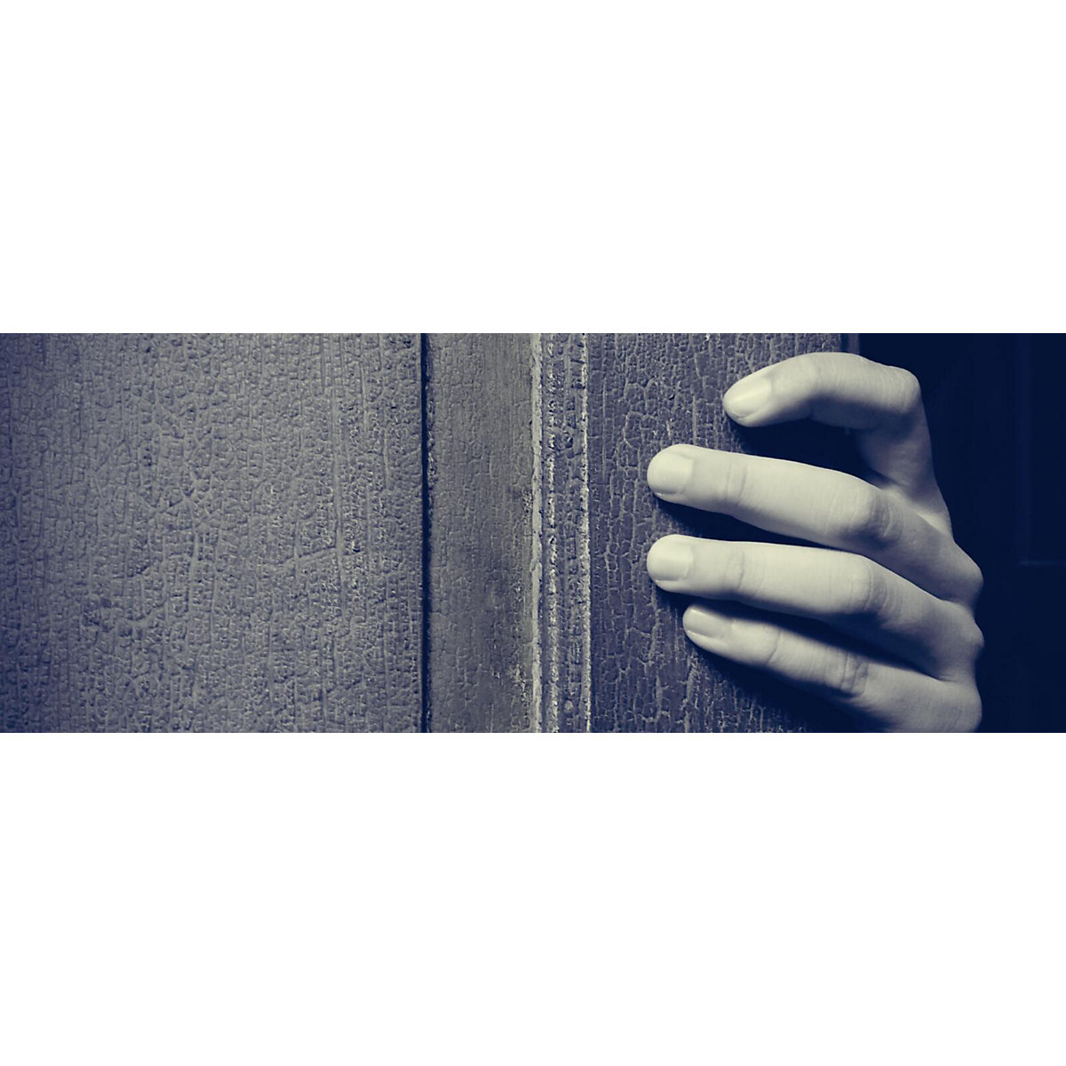 True Crime. Ein (wahrer) Escape-Room-Thriller zum Aufschneiden