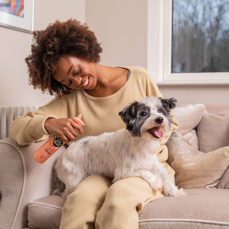 Pet Head Quick Fix Spray zu TOP-Preisen