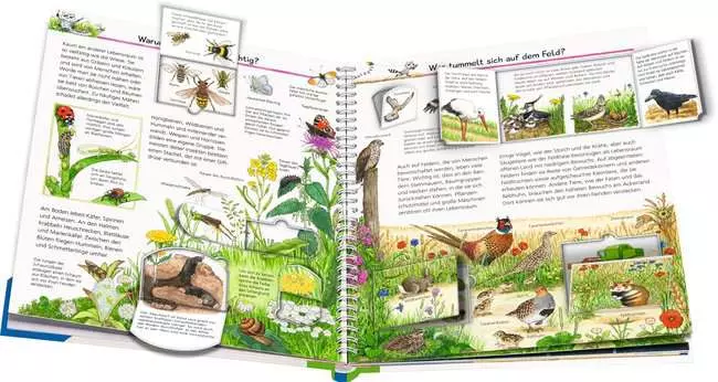 Ravensburger Wieso? Weshalb? Warum?, Band 71: Wir entdecken heimische Tiere
