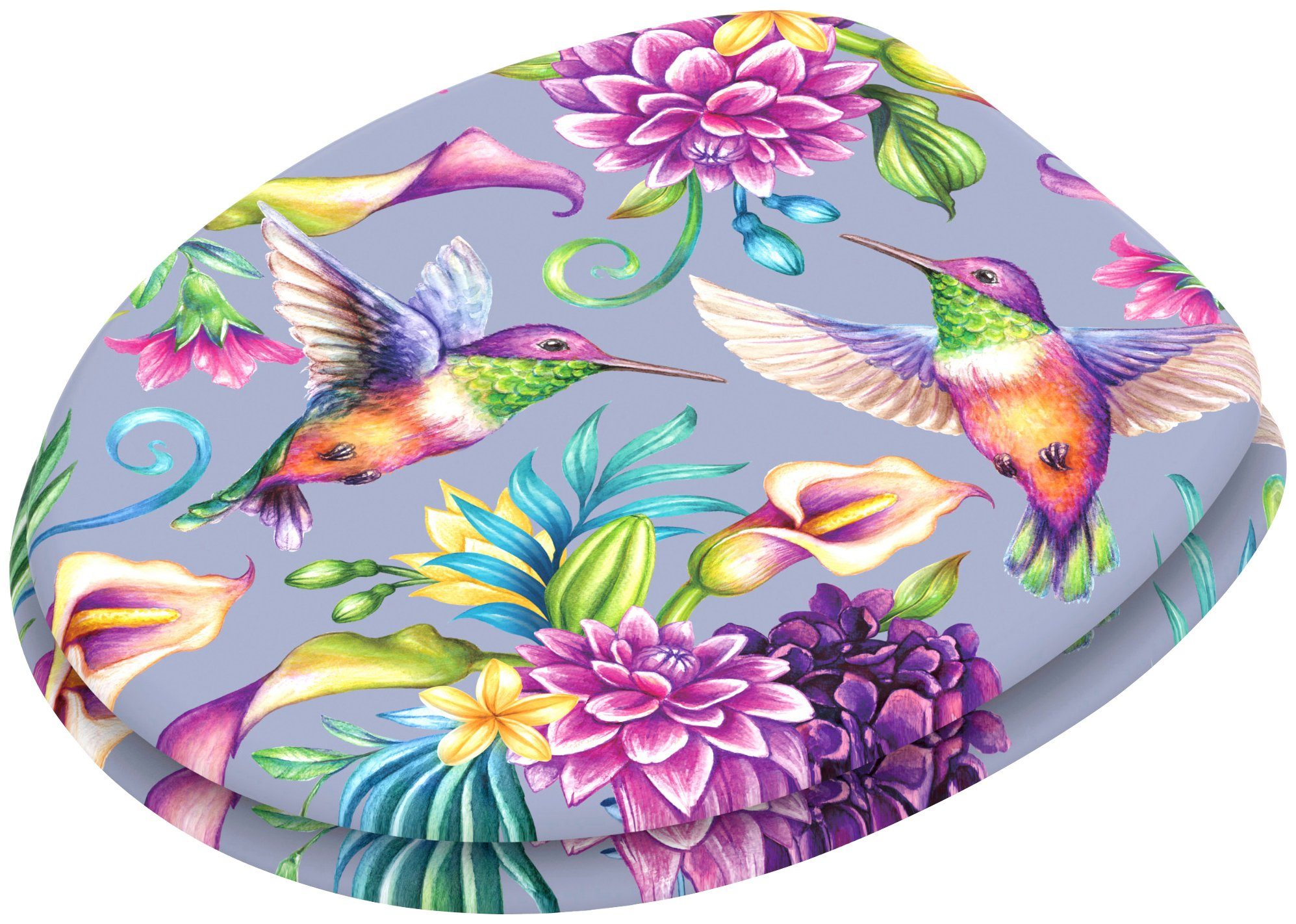 Sanilo WC-Sitz Kolibri, mit Absenkautomatik, BxL: 37,7 x 42,0 - 47,0 cm