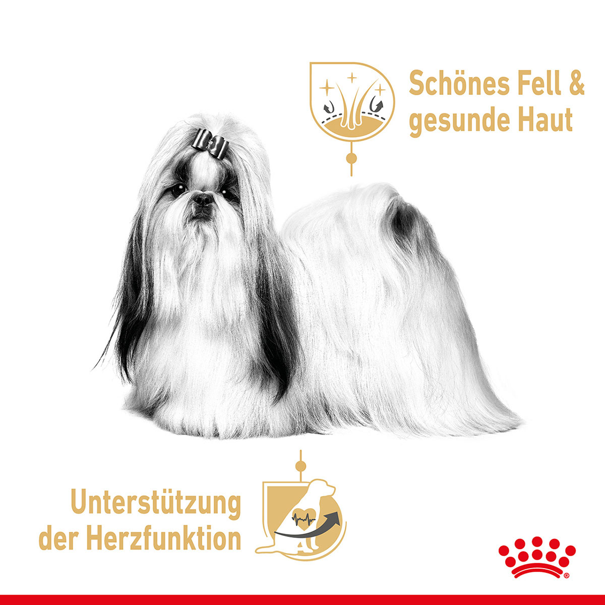 Royal Canin BHN Shih Tzu Adult Mousse 12x85g kaufen bei ZooRoyal