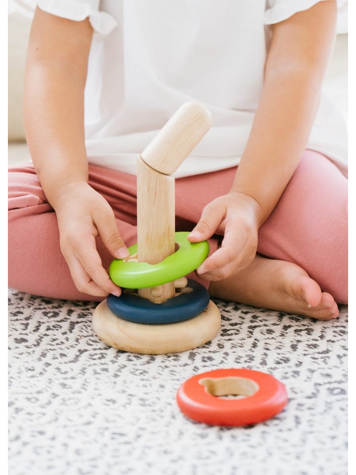 Plan Toys Twist & Sort ab 24 Monate günstig kaufen onesize