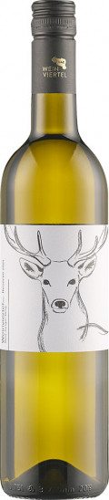 2021 Weinviertel DAC Reserve Junger Berg trocken - Weinhof Hirschbüchler