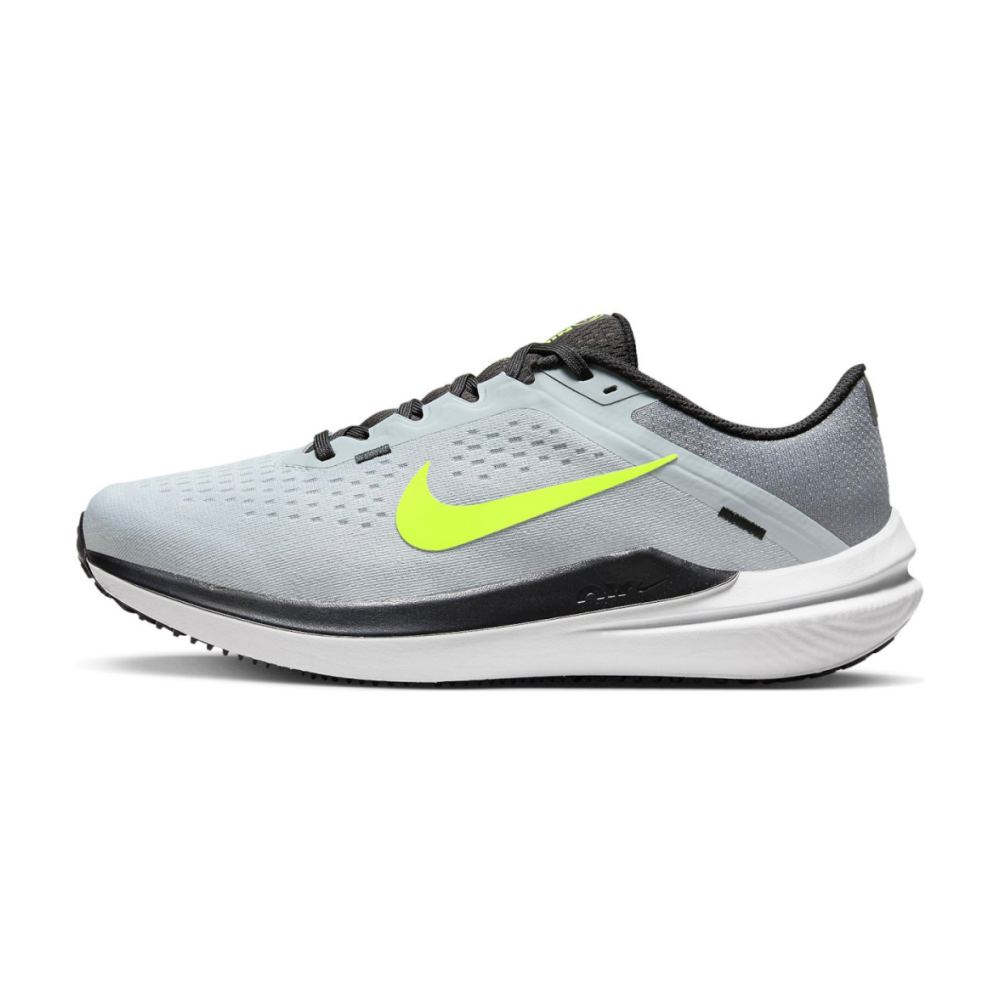 Nike Winflo 10 DV4022-007 / grau