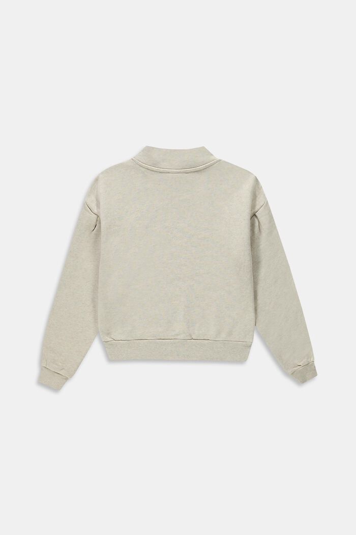 Sweatshirt mit Stehkragen und Statement-Print